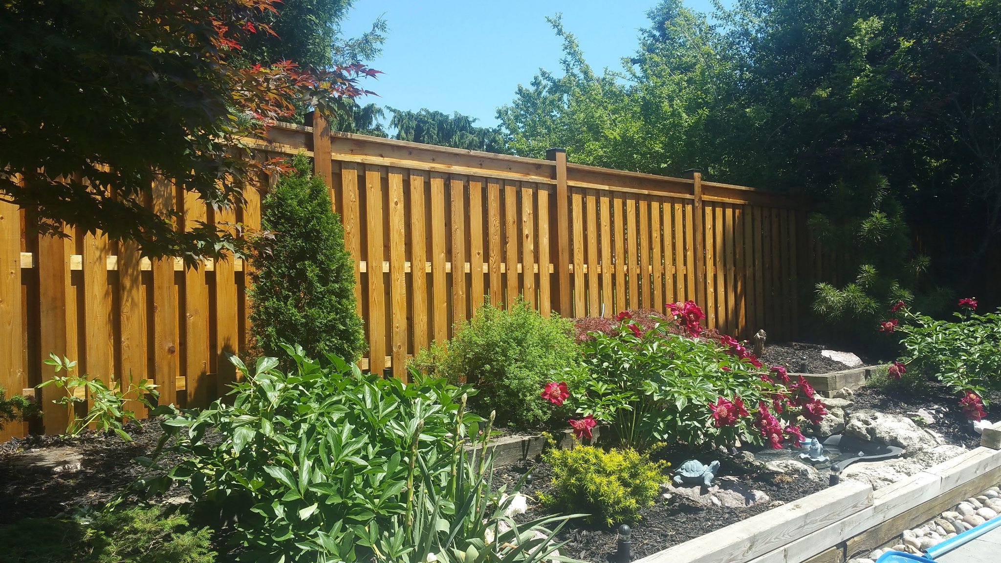 Residential fence staining Toronto - natural wood fence with garden and flowers